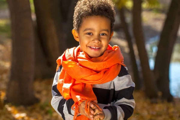 Four Year Old Little Boy Posing Autumn Park — Stock Photo, Image