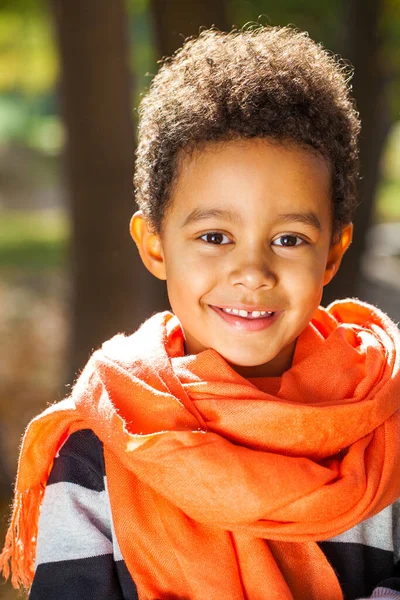 Niño Cuatro Años Posando Parque Otoño — Foto de Stock