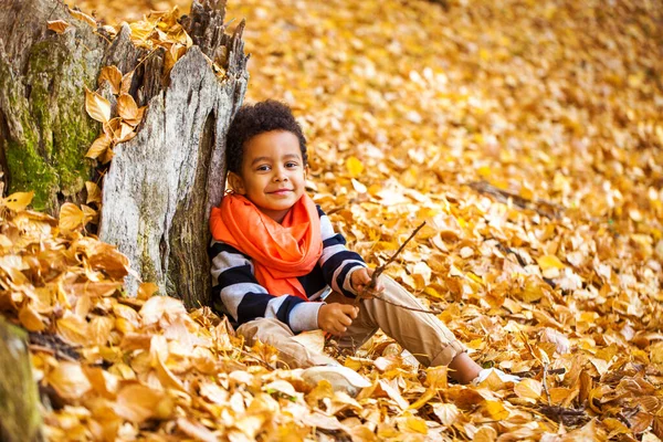 4岁的小男孩在秋天的公园里摆姿势 — 图库照片