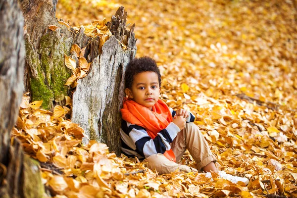 Menino Quatro Anos Posando Parque Outono — Fotografia de Stock
