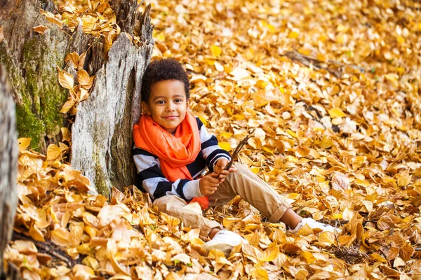 Four Year Old Little Boy Posing Autumn Park — Stock Photo, Image