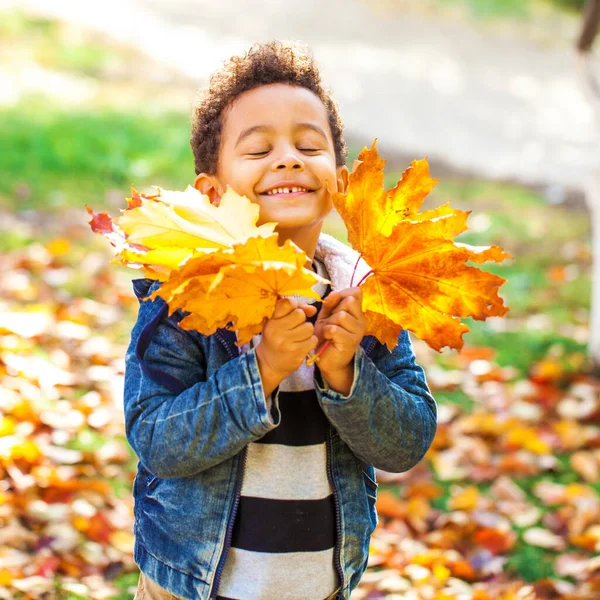 Petit Garçon Quatre Ans Posant Dans Parc Automne — Photo