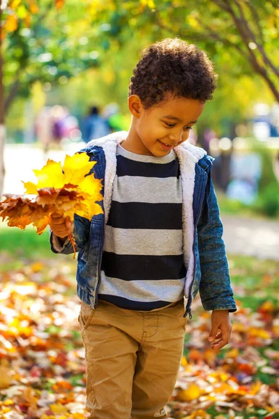 Чотирирічний Маленький Хлопчик Позує Осінньому Парку — стокове фото