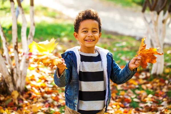 Petit Garçon Quatre Ans Posant Dans Parc Automne — Photo