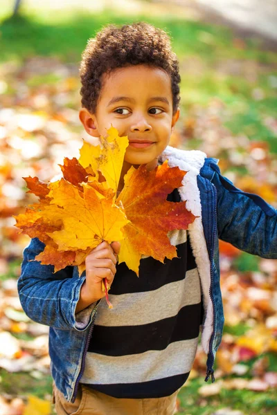 Vierjähriger Kleiner Junge Posiert Herbstpark — Stockfoto