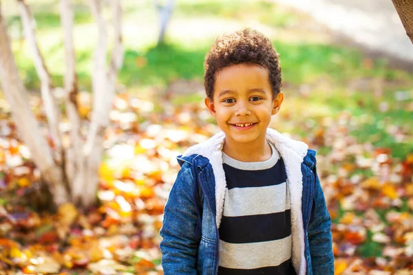 Vierjähriger Kleiner Junge Posiert Herbstpark — Stockfoto