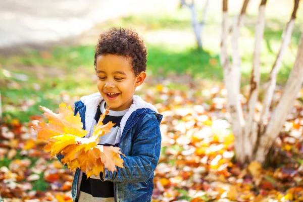 Bambino Quattro Anni Posa Nel Parco Autunnale — Foto Stock