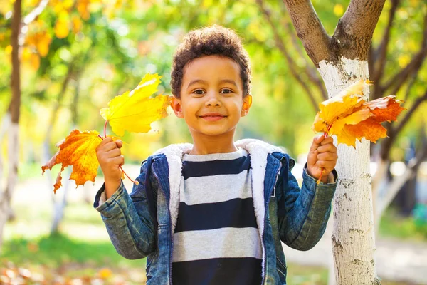 Niño Cuatro Años Posando Parque Otoño —  Fotos de Stock