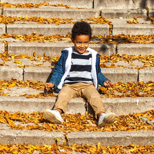 Čtyřletý Chlapec Pózující Podzimním Parku — Stock fotografie