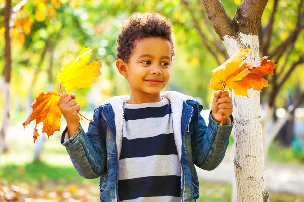 Petit Garçon Quatre Ans Posant Dans Parc Automne — Photo