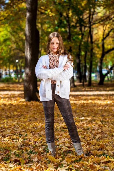 Bella Ragazza Adolescente Posa Nel Parco Autunnale — Foto Stock