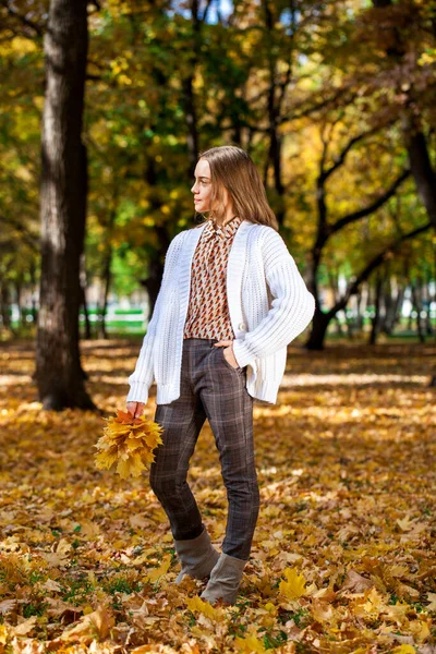 Beautiful Teenage Girl Posing Autumn Park — Stock Photo, Image