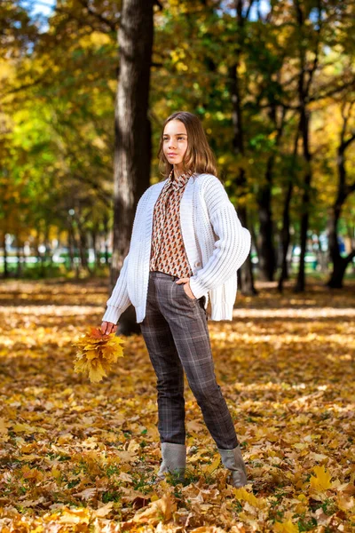 Mooi Tiener Meisje Poseren Herfst Park — Stockfoto