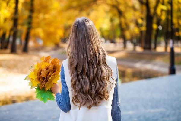 Arka Manzara Esmer Saç Modeli Sonbahar Parkı Açık Hava — Stok fotoğraf