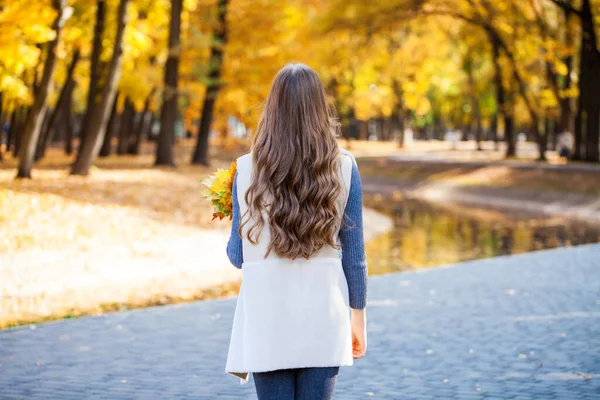 Vista Trasera Morena Modelo Pelo Parque Verano Aire Libre — Foto de Stock