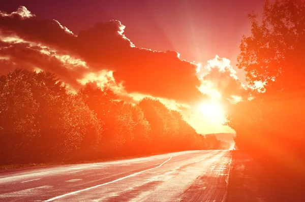 Асфальтована Дорога Літній Захід Сонця Спробує — стокове фото