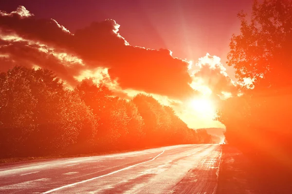 Asphalt Road Summer Sunset Tries — Stock Photo, Image