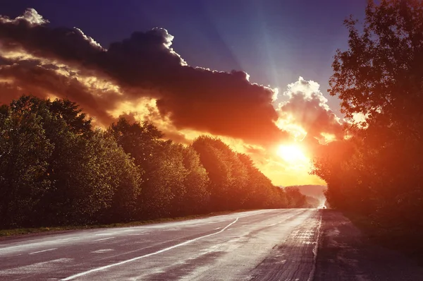 Asphalt Road Summer Sunset Tries — Stock Photo, Image