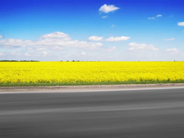 Field Bright Yellow Rapeseed Asphalt Road Motion Blue Sky — Stock Photo, Image