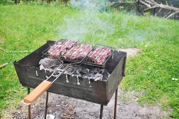 Rohes Fleischsteak Auf Grill Mit Heißer Holzkohle Auf Grünem Gras — Stockfoto