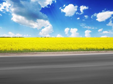 Alan bulutlar ile mavi gökyüzü karşı hareket asfalt yol ile parlak sarı kolza tohumu