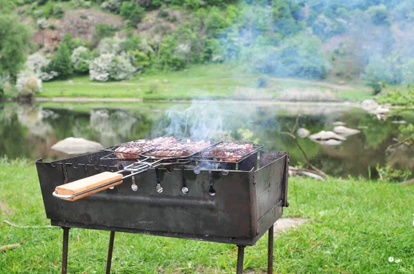Rohes Fleisch Steak Auf Grill Auf Grünem Gras Flussnähe Mit — Stockfoto