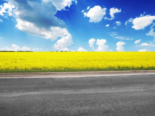 Field Bright Yellow Rapeseed Asphalt Road Blue Sky Clouds — Stock Photo, Image