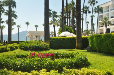 Palmiye ağaçları, yeşil çalılar ve çiçeklerle dağlar ve mavi gökyüzü karşı bina beyaz modern otel