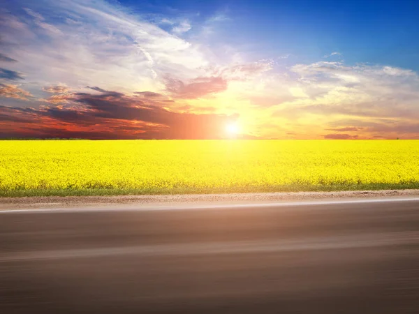 Field Bright Yellow Rapeseed Asphalt Road Motion Sky Sunset — Stock Photo, Image