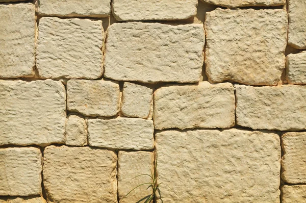 Oude Beige Baksteen Stenen Muur Achtergrond — Stockfoto