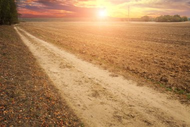 Toprak yol, orman ve gökyüzü günbatımı ile boş sürülmüş çiftlik alanı