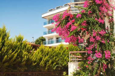 Otel ve bulutlar ile mavi gökyüzüne karşı çalılar ve pembe çiçekler ile bahçe