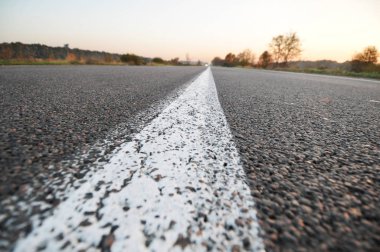 Orman ve sk ile boş bir yolda bir trafik hattı yakın çekim