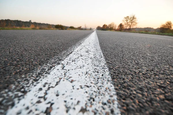 Gros plan d'une ligne de circulation sur une route vide avec une forêt et sk — Photo