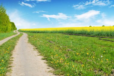 Yeşil çimen, orman ve bulutlar ile mavi gökyüzüne karşı sarı kolza alanı ile Kir yol