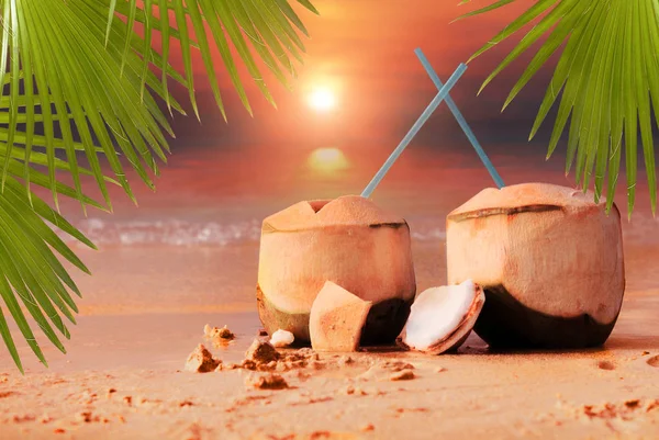 Primer Plano Cocteles Coco Fresco Hojas Palma Verde Playa Con — Foto de Stock
