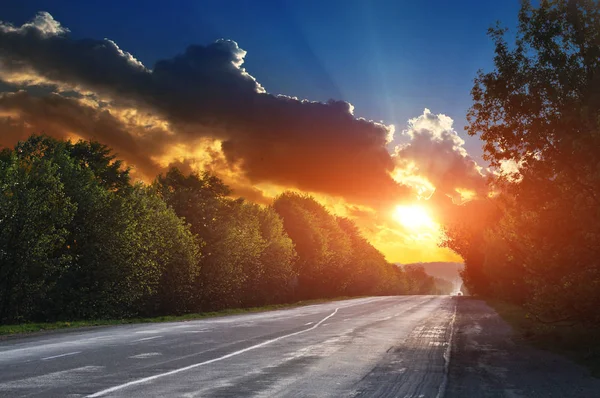 夏の夕焼けと木々のアスファルト道路 — ストック写真