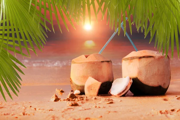 Primer Plano Cocteles Coco Fresco Hojas Palma Verde Playa Con — Foto de Stock