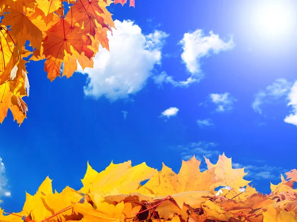 Feuilles Jaunes Automne Contre Ciel Bleu Avec Nuages Soleil Brillant — Photo