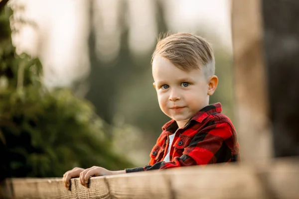 Πορτρέτο του ένα μικρό αγόρι στο πάρκο βράδυ — Φωτογραφία Αρχείου