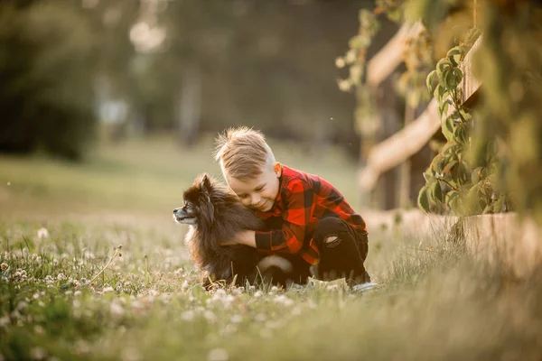 Portret van een kleine jongen met kleine hond in het park — Stockfoto