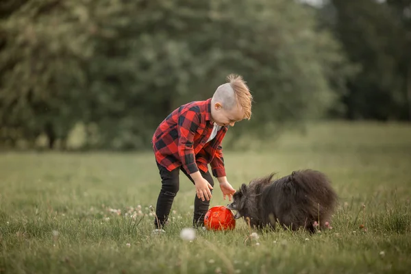 Mały chłopiec z piłki nożnej z psem — Zdjęcie stockowe