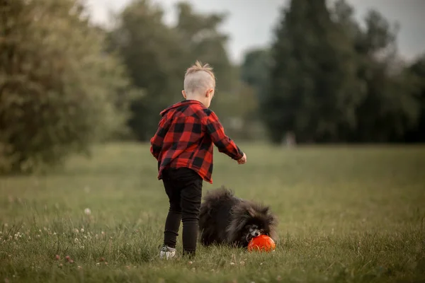 Een jongetje met een voetbal met zijn hond — Stockfoto