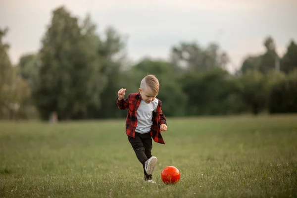 一个带着狗踢足球的小男孩 — 图库照片