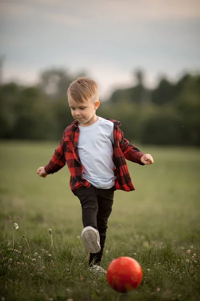 Niño Pequeño Con Una Pelota Fútbol Con Perro Parque — Foto de Stock