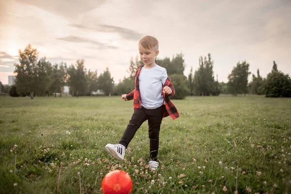 Маленький мальчик с мячом и собакой — стоковое фото