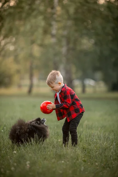 Een jongetje met een voetbal met zijn hond — Stockfoto