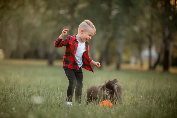 Ένα μικρό αγόρι με ένα ποδόσφαιρο με τον σκύλο του — Φωτογραφία Αρχείου