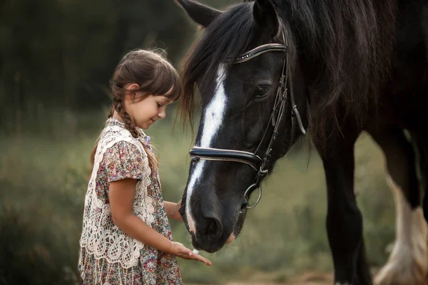 Shire atı ile küçük kız — Stok fotoğraf