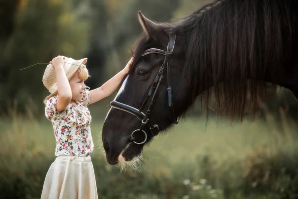 Liten flicka med shire häst — Stockfoto